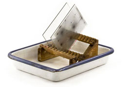 photographic plates in a drying rack