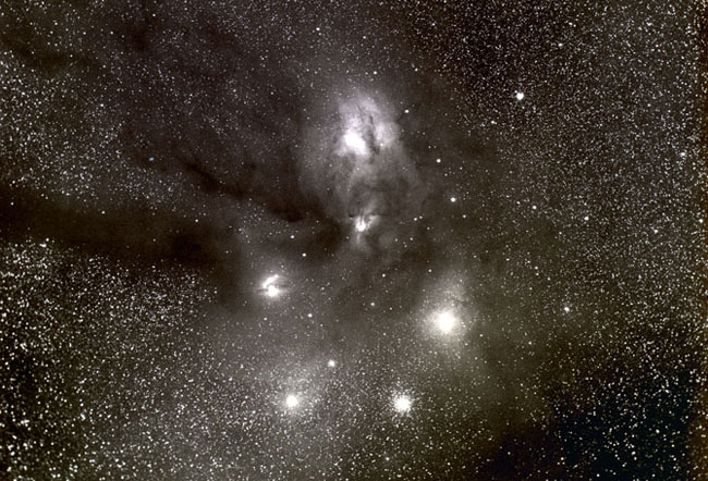 star clouds in Ophiucus